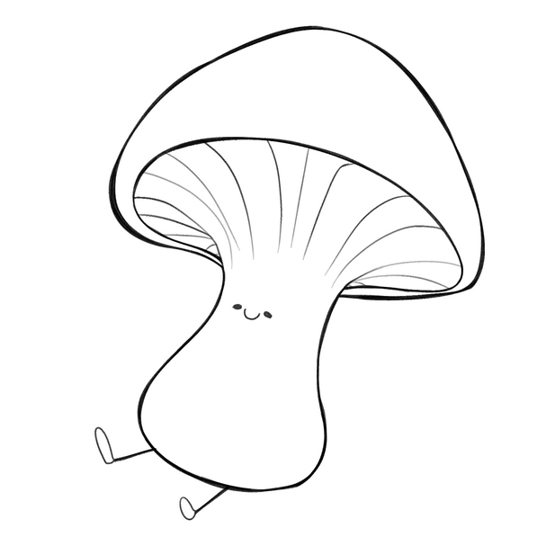 เส้นรัฟ